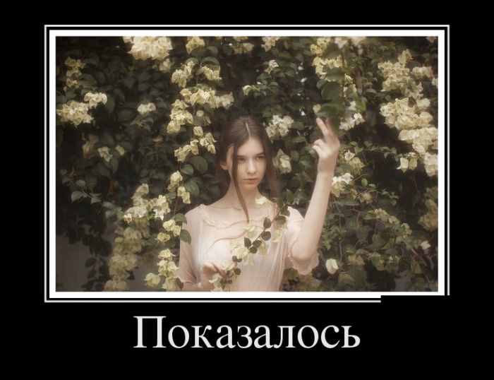 картинка с надписью демотиватор