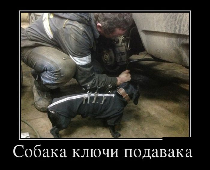 картинка с надписью демотиватор