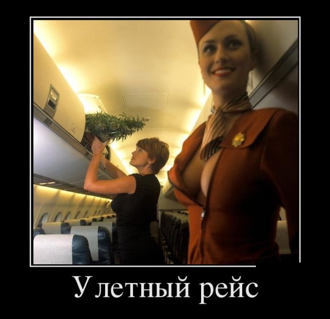картинка с надписью демотиватор