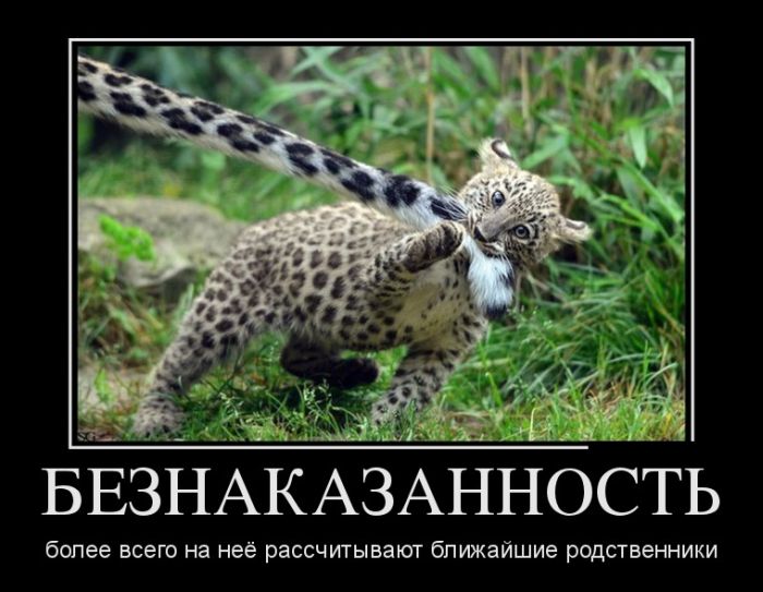 демотиватор картинка