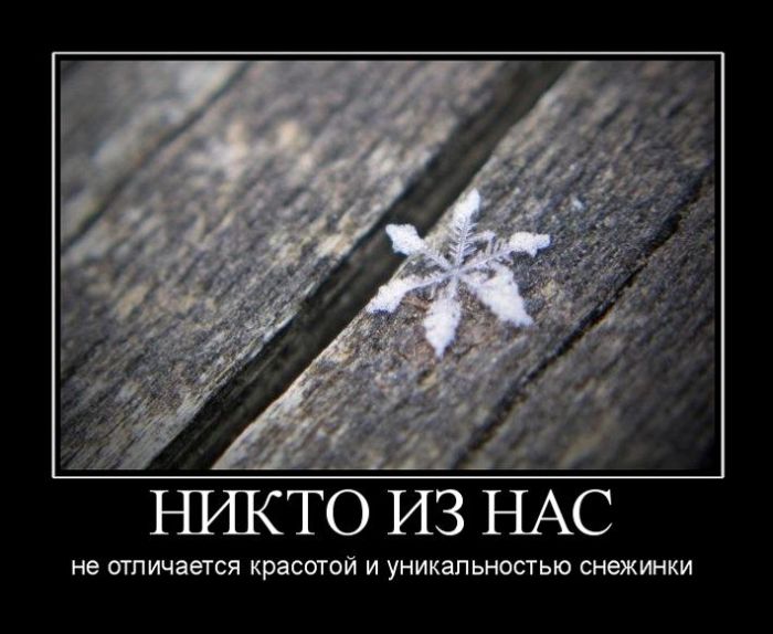 демотиватор картинка