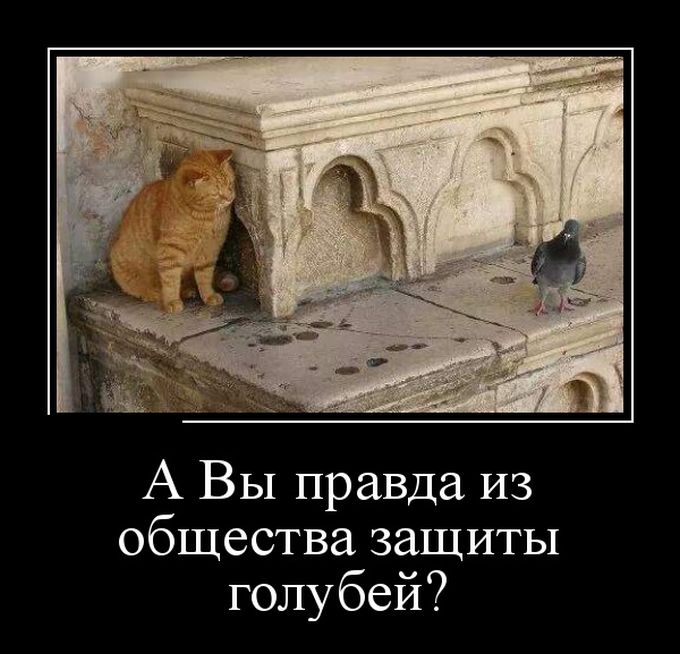 картинка демотиватор