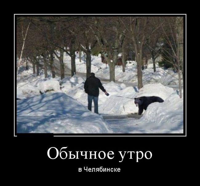 картинка демотиватор