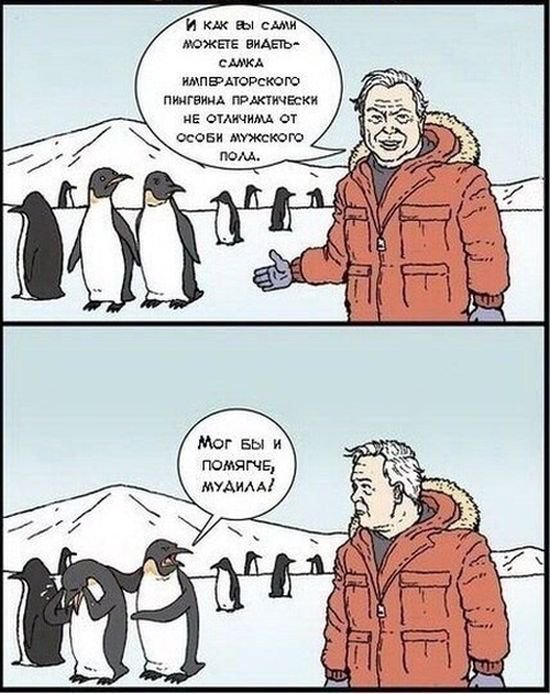 комикс картинка