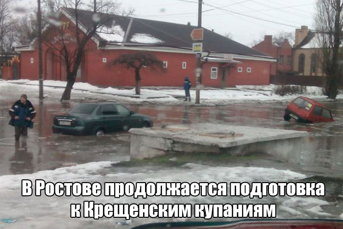 веселая картинка