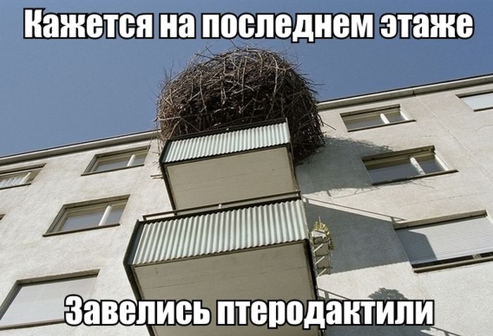 веселая картинка
