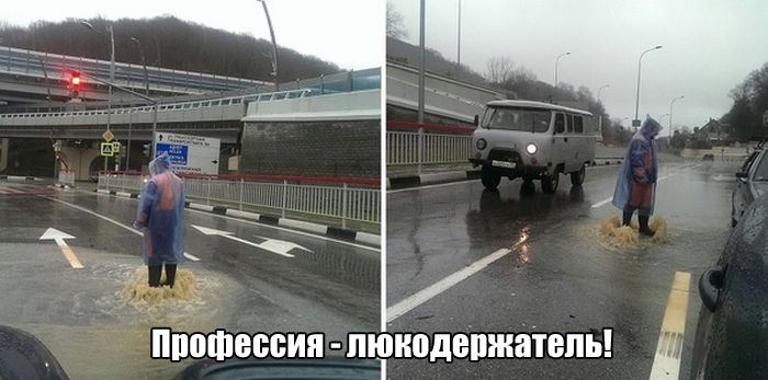 веселая картинка
