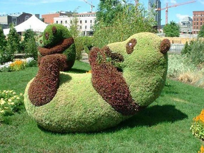 веселая картинка