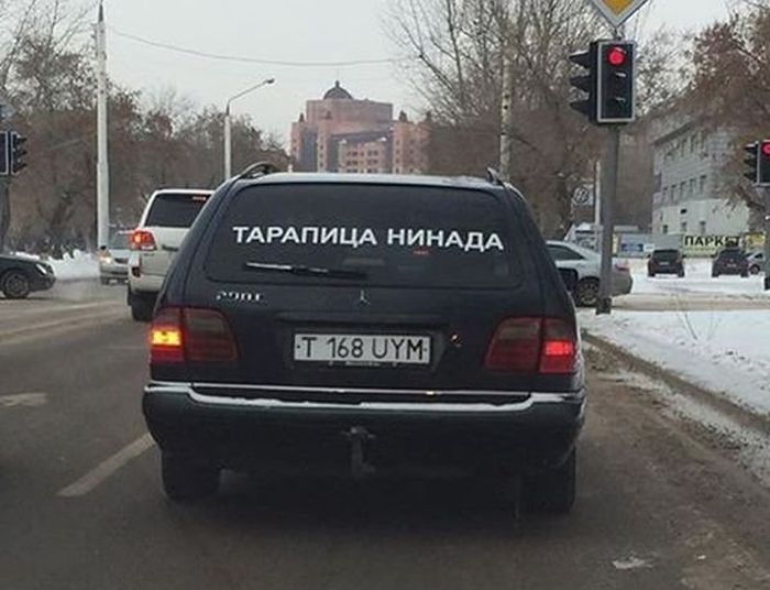 веселая картинка