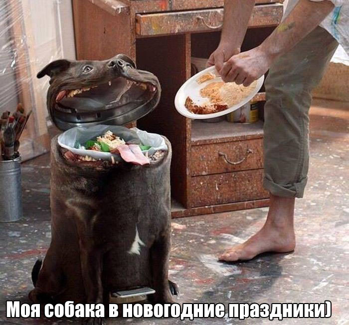 веселая картинка