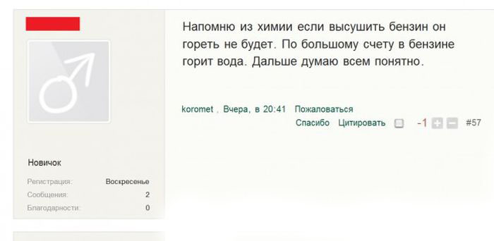 веселая картинка