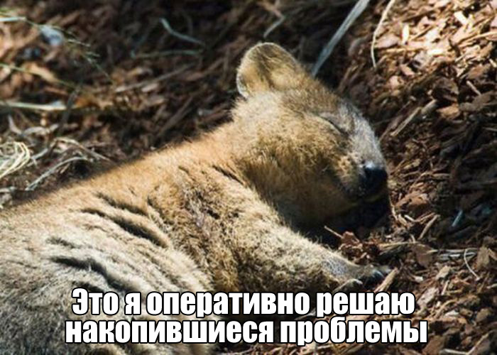 картинка с юмором