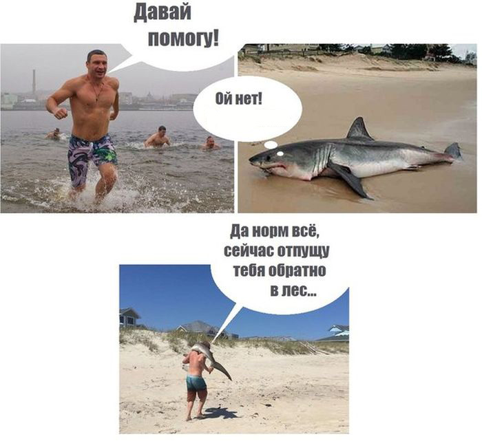картинка с юмором