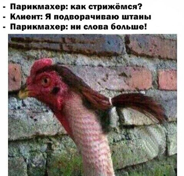 картинка с юмором