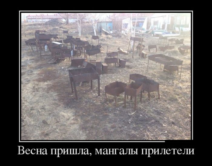 демотиватор с приколом