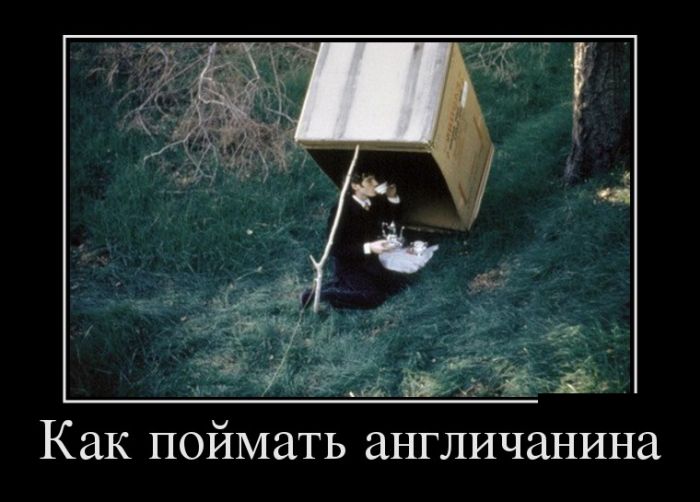 демотиватор с приколом