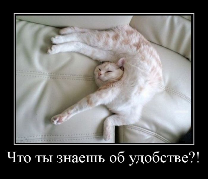 демотиватор с приколом