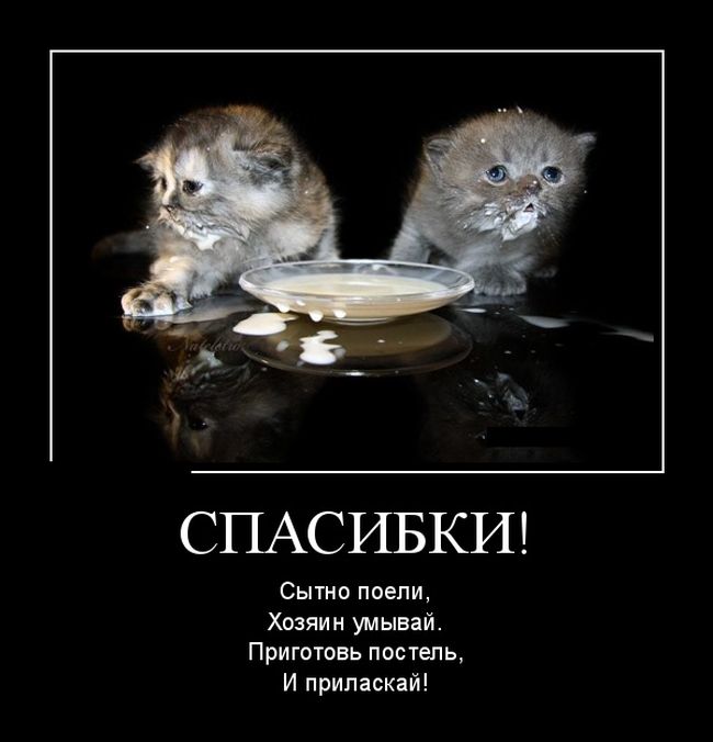 картинка демотиватор