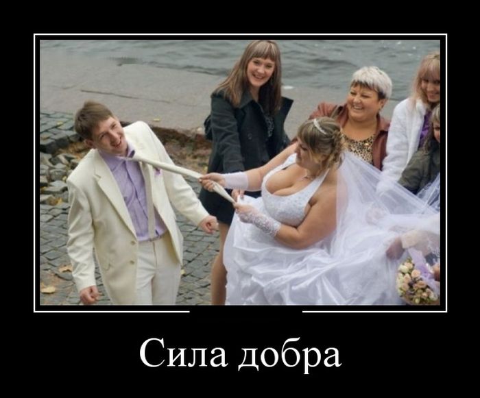 картинка демотиватор