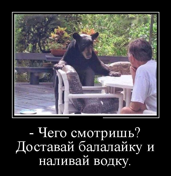 картинка демотиватор