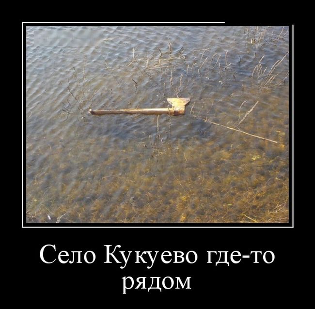 картинка демотиватор