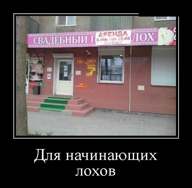 картинка демотиватор