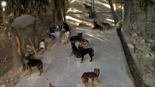 странные кадры с Google Street View