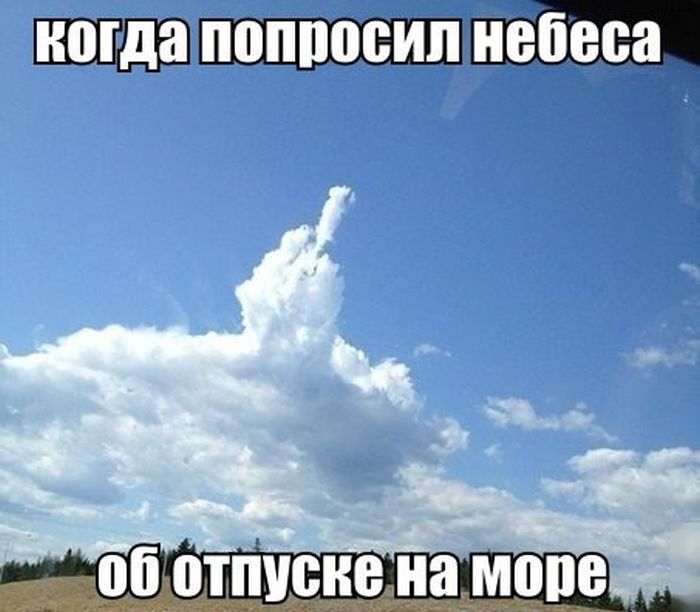смешная картинка
