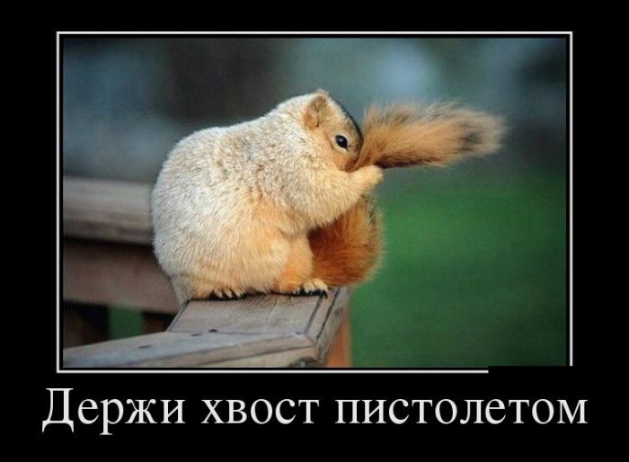 демотиватор веселый