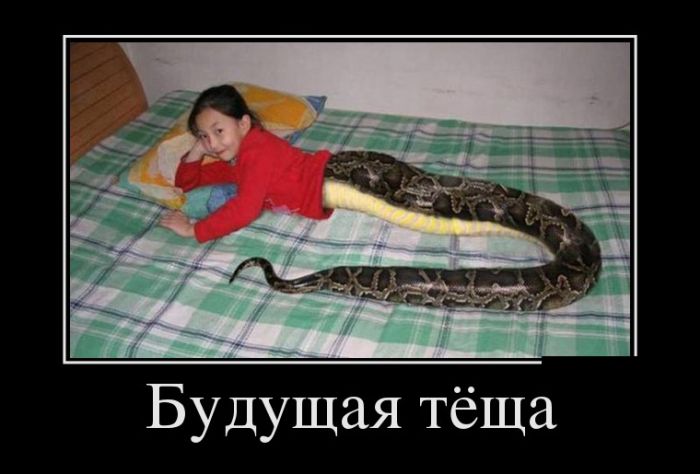 демотиватор веселый