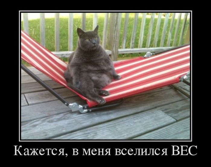 демотиватор веселый