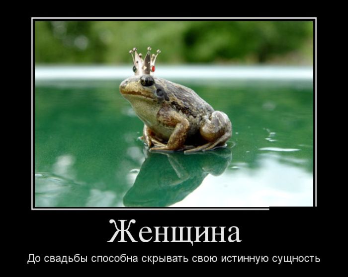 демотиватор веселый