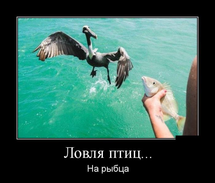 демотиватор веселый