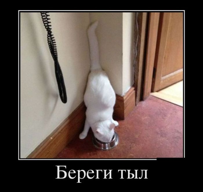 демотиватор веселый