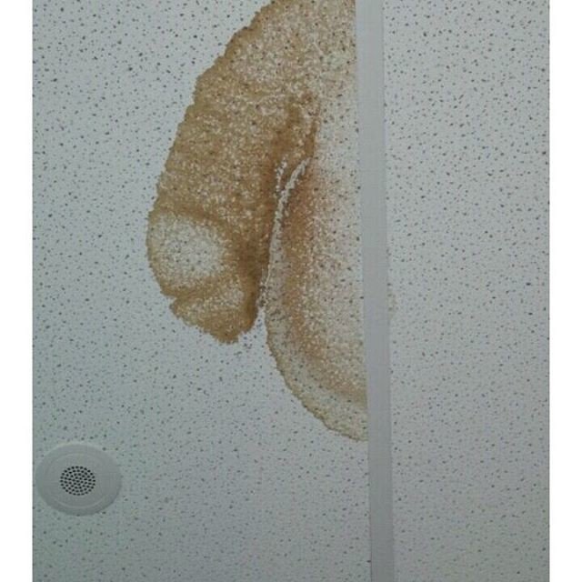 фото которое покажет вашу испорченность