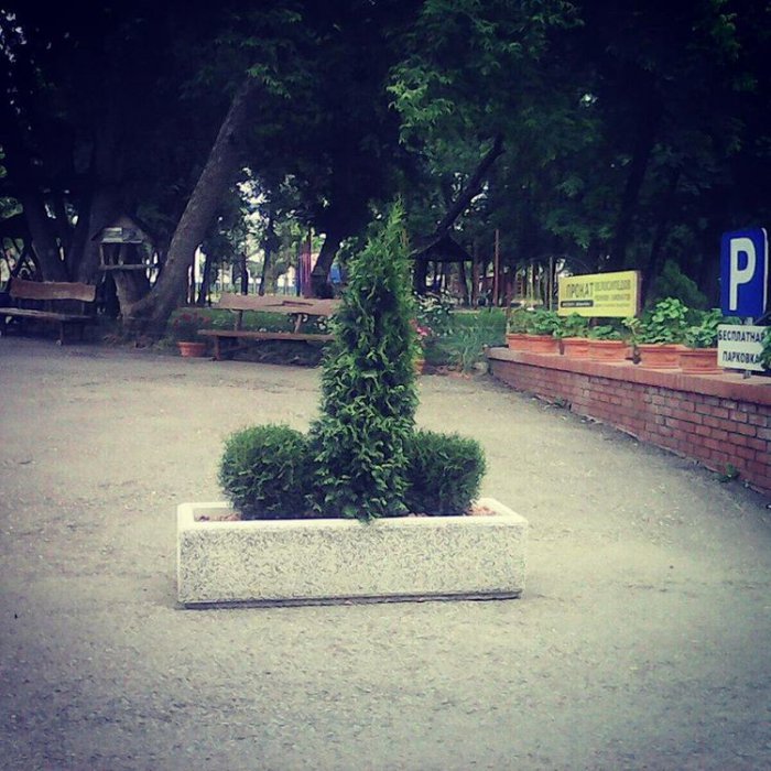 фото которое покажет вашу испорченность