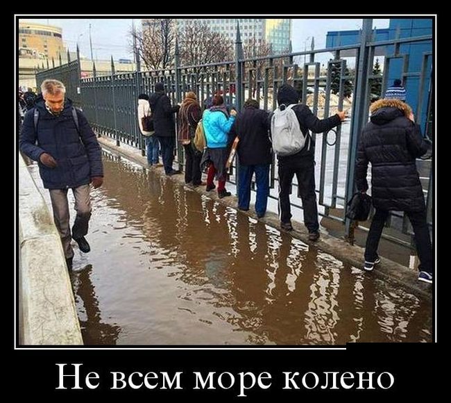 демотиватор картинка