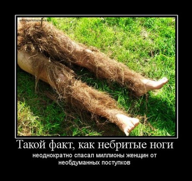 демотиватор картинка