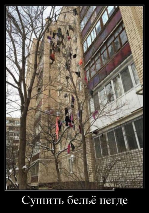 демотиватор картинка