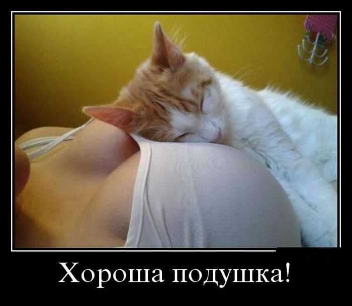 демотиватор картинка