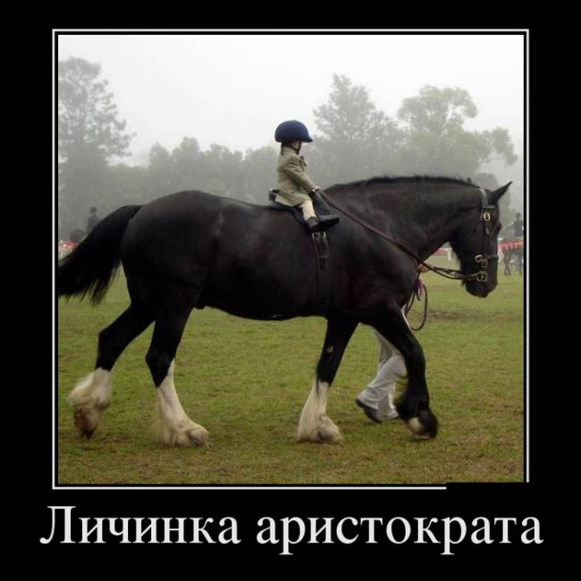 демотиватор картинка