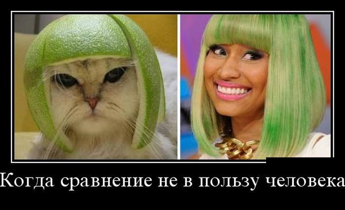 демотиватор картинка