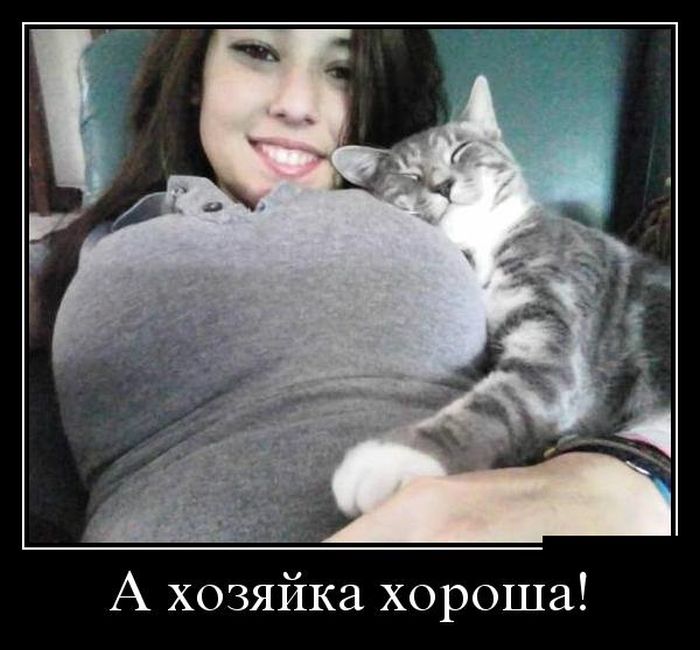 демотиватор картинка