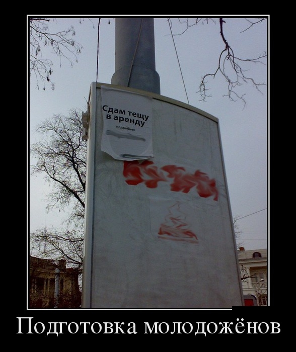 демотиватор