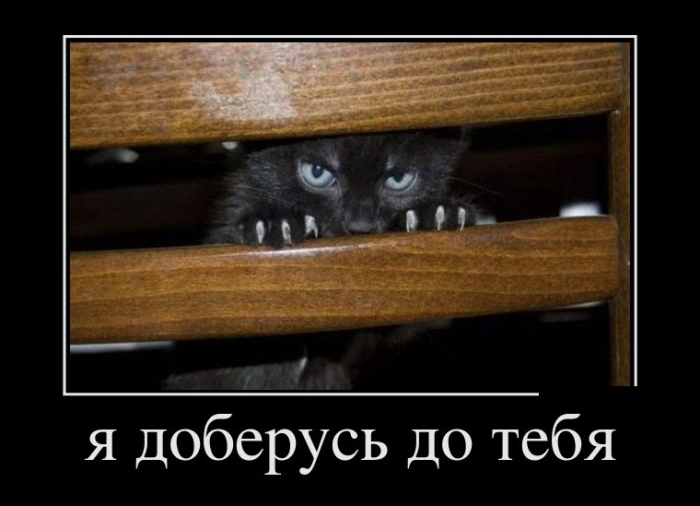 демотиватор
