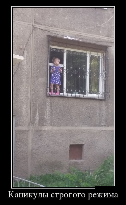 демотиватор