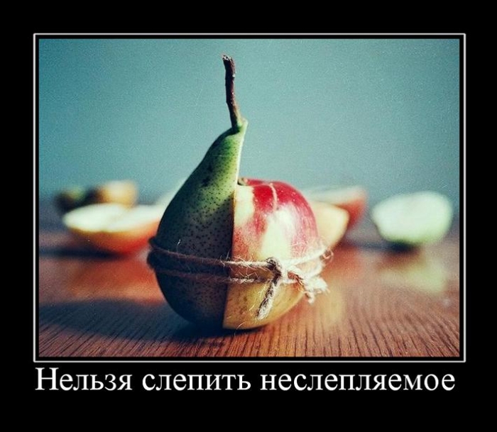 демотиватор