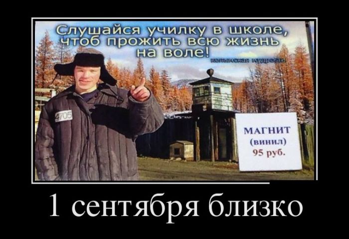 демотиватор