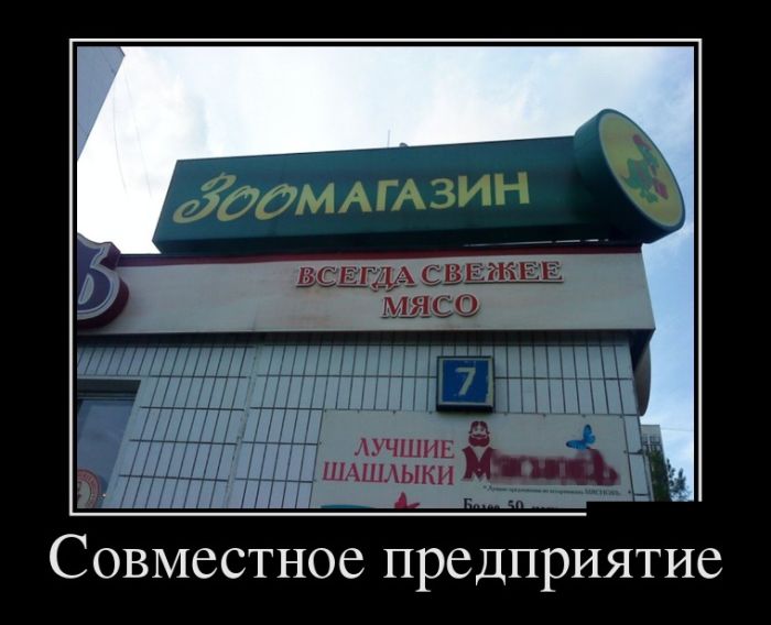демотиватор