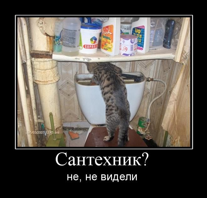 демотиватор